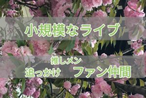 小規模なライブハウスのアイキャッチ画像